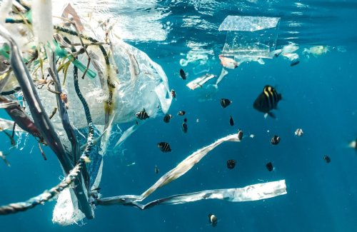 Pollution plastique : les négociations du futur traité bloquées par un désaccord procédural