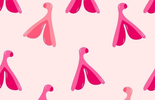 Qu’est-ce que les jambes du clitoris et comment stimuler cette zone pour plus de plaisir ?
