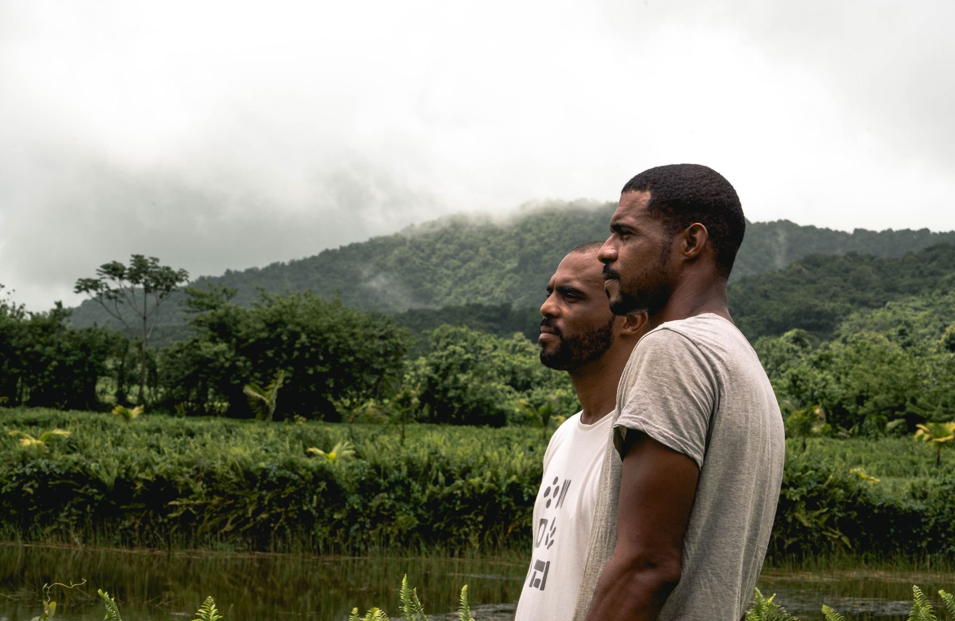 « On défend ce qui nous reste » : en Martinique, cette famille souhaite préserver l’agriculture ancestrale
