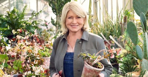 Martha Stewart, experta en jardín sobre plantar azaleas: "Es importante comprender los ciclos de cada planta para predecir cuánto tiempo tardará en florecer el jardín de casa"