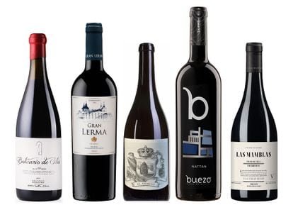 Cinco vinos de Arlanza, una D.O. desconocida con mucho futuro