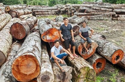 Amenaza latifundista sobre una gran reserva en Brasil