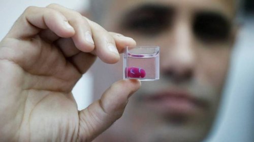 Científicos israelíes imprimen en 3D un corazón hecho con tejido humano