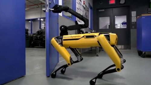 El robot que ha aprendido a abrir puertas para ayudar a sus ‘amigos’