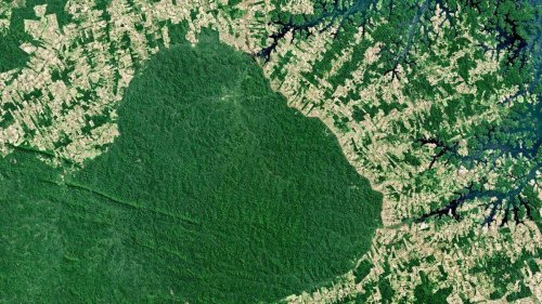 Los paraísos fiscales perjudican al medio ambiente