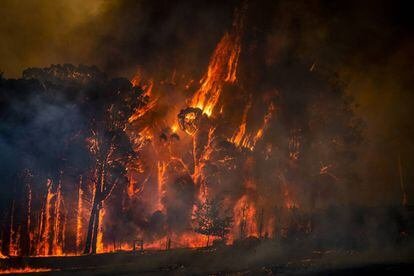 Cielos teñidos de rojo, columnas ardientes y paisajes devastados. Retrato de Australia en llamas
