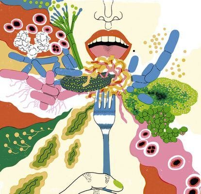¡Fermentad, fermentad malditos! Una moda que ya conocía la tía Asunción