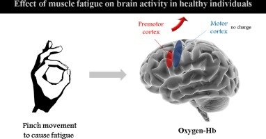 [Abstract] Effect of muscle fatigue on brain activity in healthy individuals