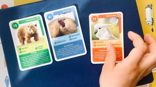 Tiefe Gespräche mit Kind So rettete ein einfaches Kartenspiel die Zugfahrt mit meinem Kind