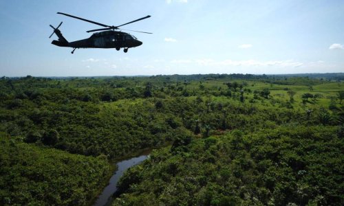 Lanzan semillas del cielo: así es el piloto para reforestar en la Amazonia