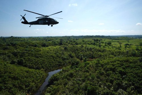 Lanzan semillas del cielo: así es el piloto para reforestar en la Amazonia