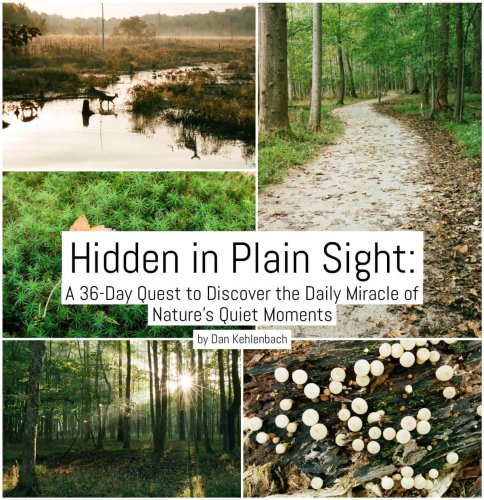 Hidden in Plain Sight: A 36-Day Quest to Discover the Daily Miracle of Nature’s Quiet Moments – by Dan Kehlenbach