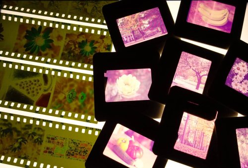 Kodak “dinosaur” film: A photo set 65 million years in the making… On ELITE Chrome II 400 slide film