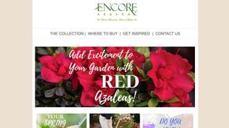 Encore Azalea Newsletters