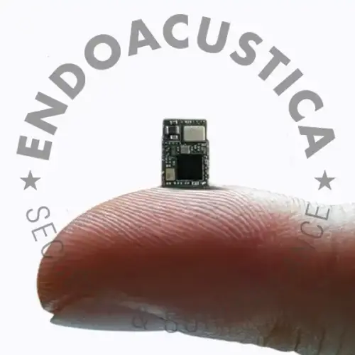 Micro registratore vocale | Endoacustica