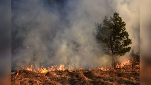 47-hectare wildfire discovered near Komie Road – Energeticcity.ca