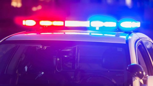 Human remains discovered in Dawson Creek
