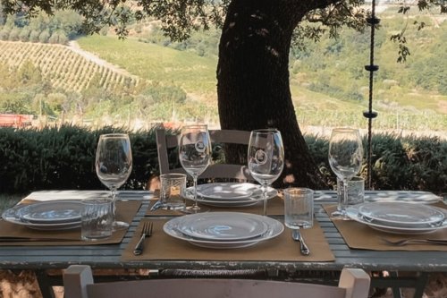 Cosimo Maria Masini - Wine tour & light lunch - Enoturismo in Toscana Esperienze e visite in cantina