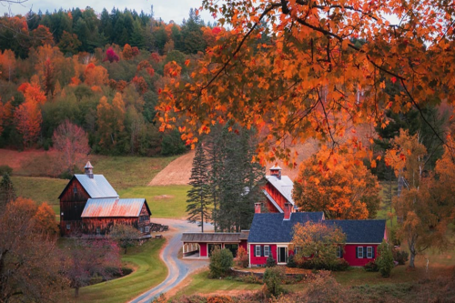 One of the 'Most Photographed' Fall Farms Is Banning Visitors Due to an 'Unprecedented Surge' of Influencers