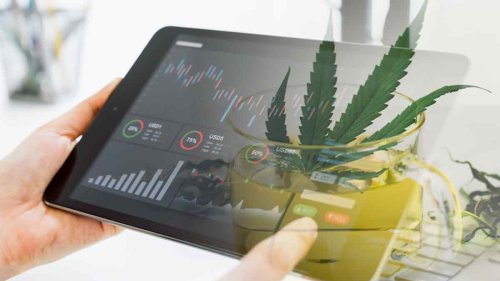 Top Marijuana Stocks To Buy Before The End Of The Week?