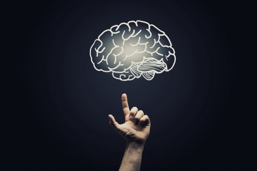 8 Psychological Insights Into the Brain That Will Improve Your Marketing