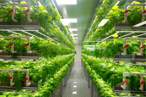 Building New Ecosystems: The Food Tech Revolution Is Here