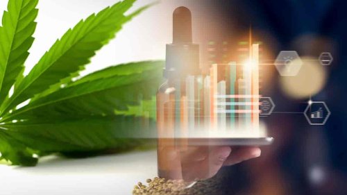Are These The Best US Marijuana Stocks To Buy Right Now? 3 To Watch Next Week