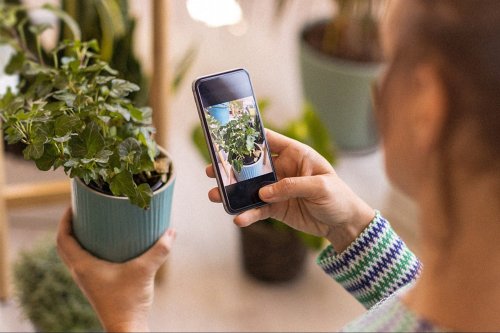 Treat Your Plants Well with This Intuitive App