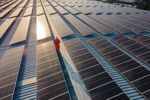 5 Renewable Energy Sources To Look Out For in 2024 and Beyond