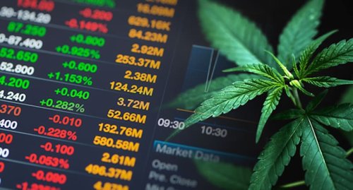 2 Marijuana Stocks To Watch After July 4th