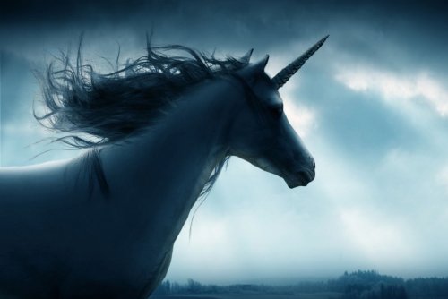Do These 4 Things to Become the Unicorn of Your Industry