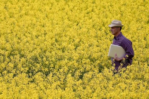 What do AgriTech Startups Need to do to Further Grow the Agriculture Industry in India | Entrepreneur