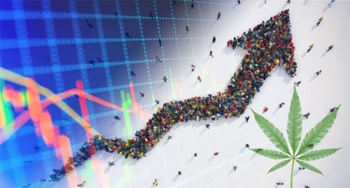 Top Marijuana Stocks To Watch Heading Into A New Month