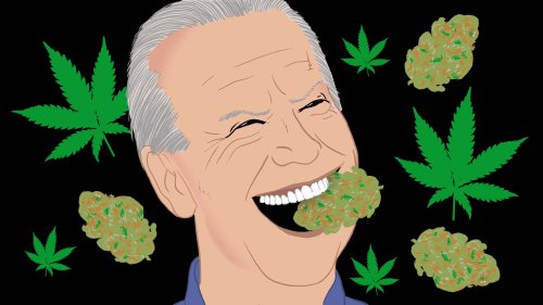 Americans Feel Joe Biden Will Not Keep His Campaign Pledge On Cannabis Reform
