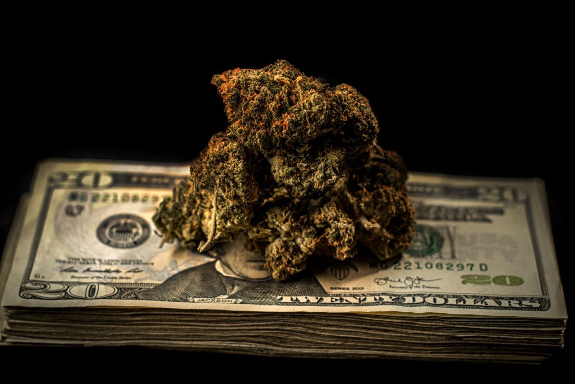 Insider Advice for Financing Your #CannabisBusiness