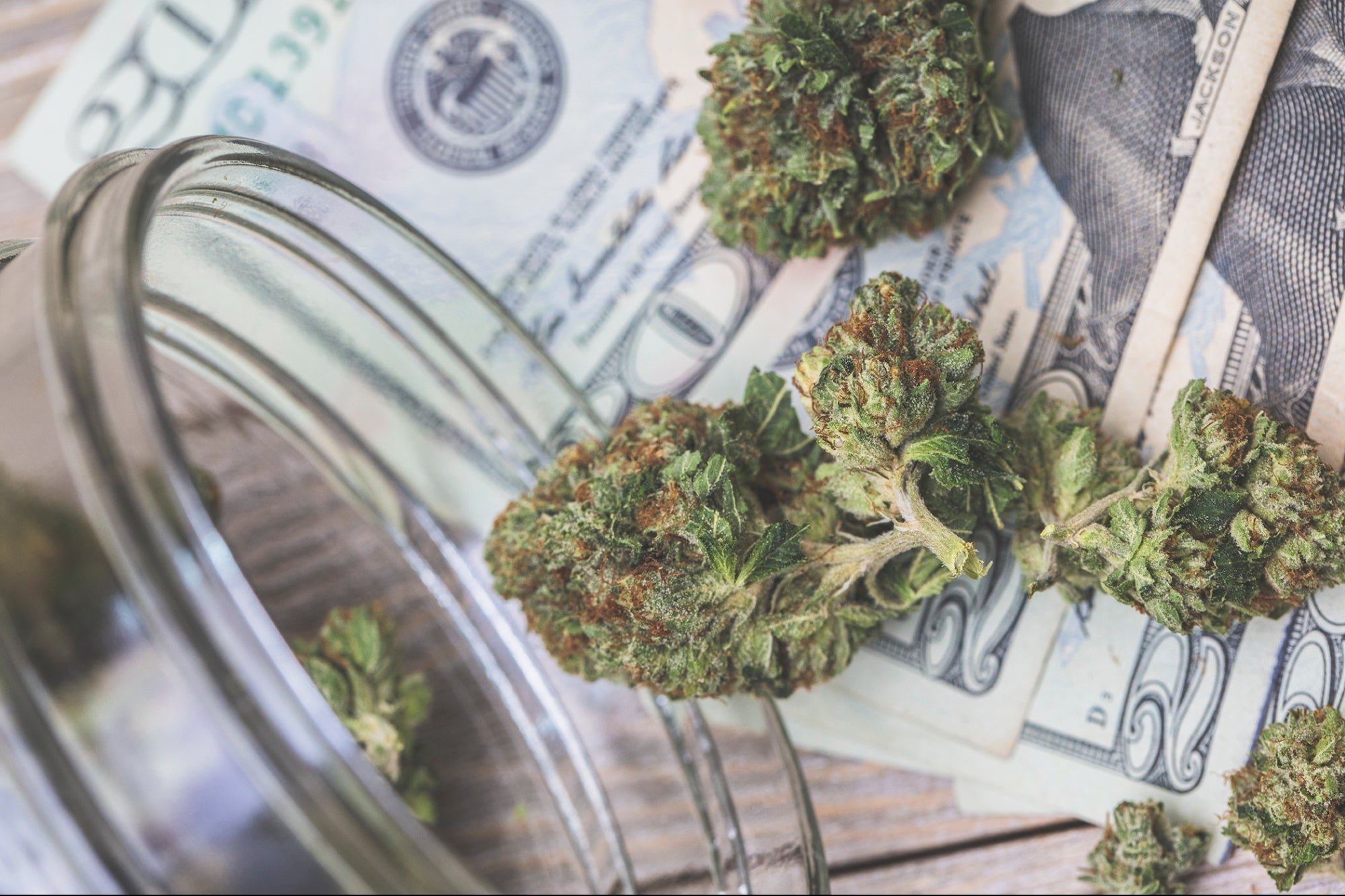 Affordable alternative to the most expensive cannabis strains on the