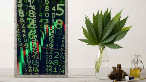 Looking For Marijuana Stocks To Buy In 2022? These 2 May Be Worth it