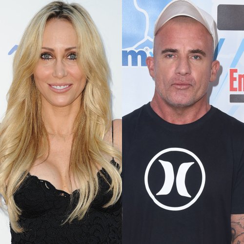 Tish Cyrus Shares Message About "Perfect Timing" After Debuting Dominic Purcell Romance