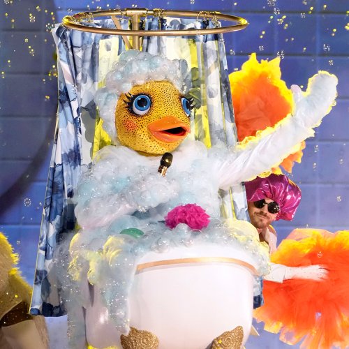 The Masked Singer Reveals the Rubber Ducky's Identity as This Comedian