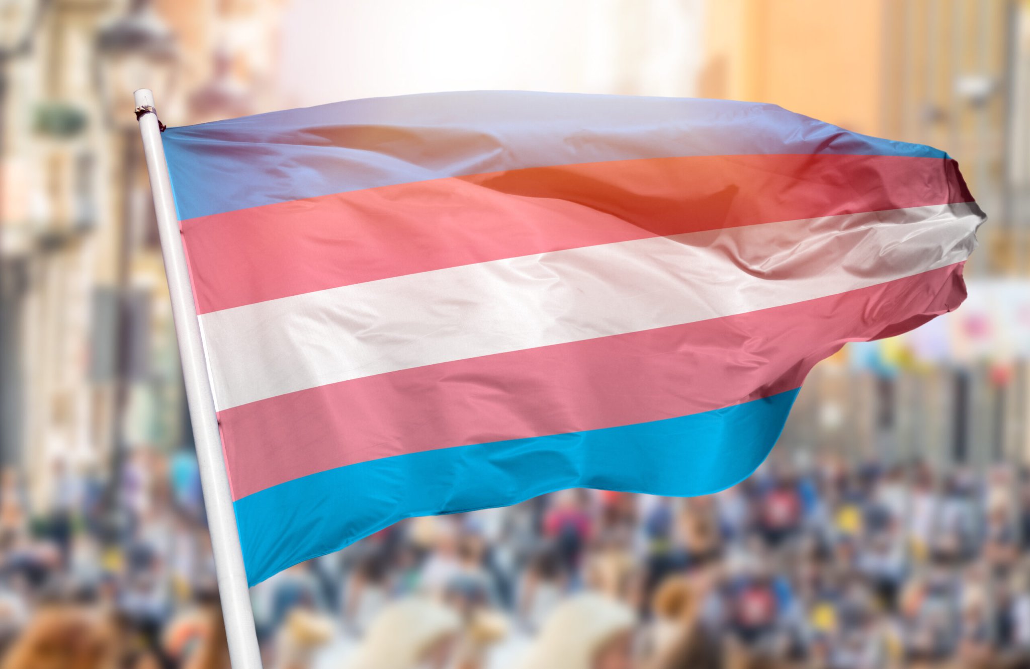 #Transgender News cover image