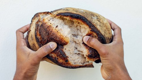 Bryan Ford's New World Sourdough Brings the Joy Back to Bread-Baking