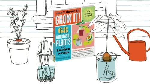 This Book Taught Me How to Get Free Houseplants From My Kitchen Scraps