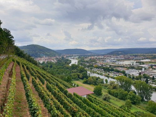 Ein Genuss-Wochenende in Churfranken: Auf den Spuren des Frankenweins