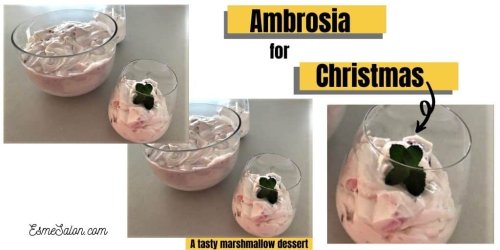 Authentic Ambrosia Dessert for Christmas Time ~ Esme Salon