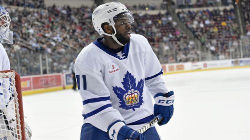 Jacob Panetta released by ECHL team following suspension by league for alleged racist taunt at Jordan Subban
