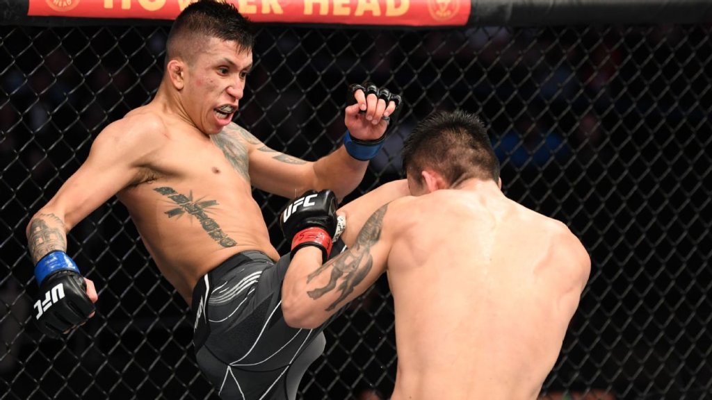 MMA - cover