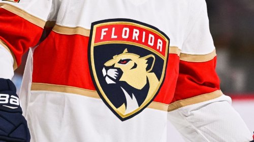 Panthers minority owner suspended for offensive social media posts