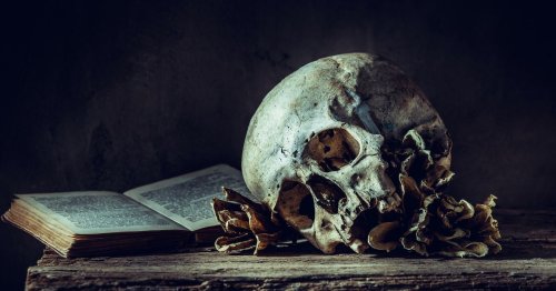 Die 10 besten Bücher zum Thema Tod, die man gelesen haben sollte