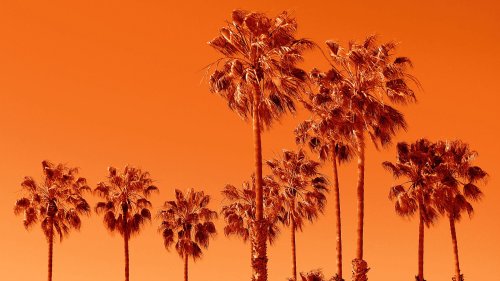 Die Suche nach einem Mann, der in den Flammen von Los Angeles verschollen war