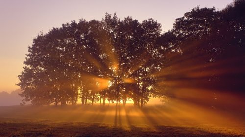 Raus in die Natur! Das sind die 11 schönsten Wälder Deutschlands